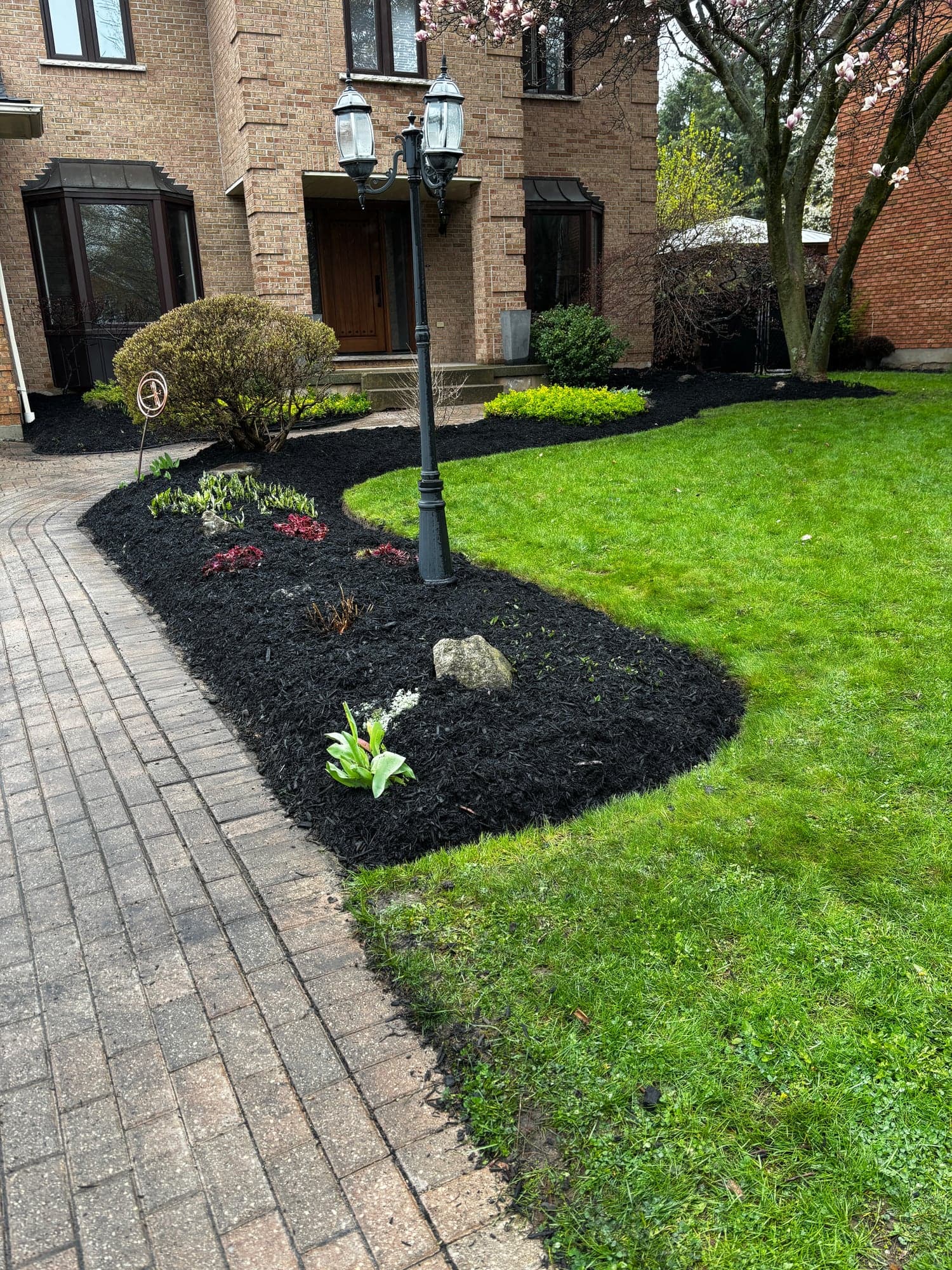 Front yard garden beds refreshed with dark mulch