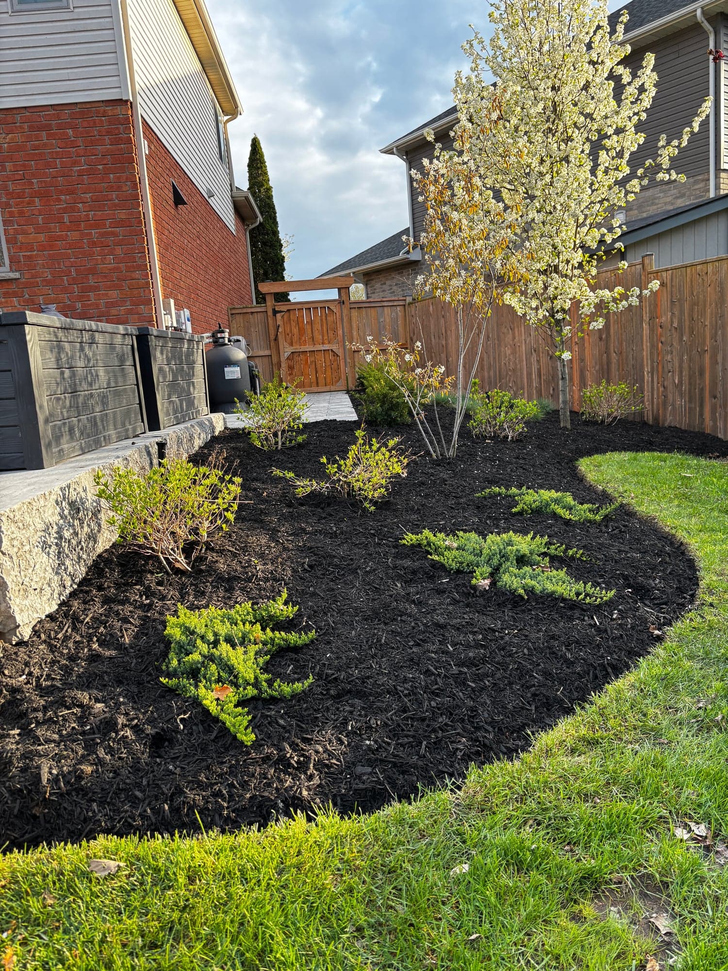 Landscaped side beds with shaped shrubs and fresh mulch