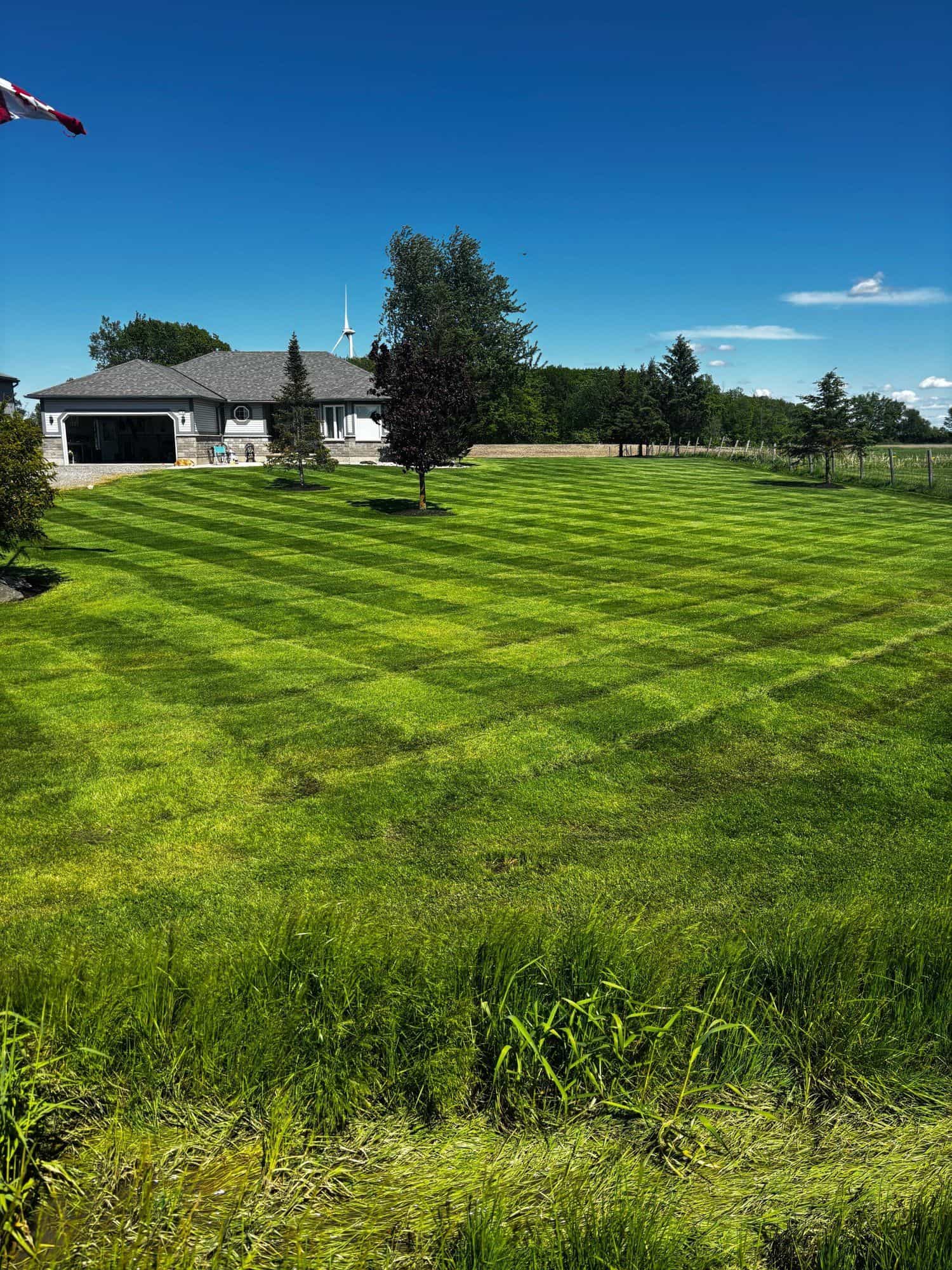 A freshly cut lawn with crisp mowing stripes in the Niagara Region